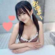 ヒメ日記 2025/07/01 07:00 投稿 みるく The White