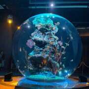 ヒメ日記 2025/07/11 12:05 投稿 みるく The White