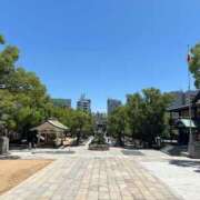 ヒメ日記 2025/07/15 16:52 投稿 みるく The White