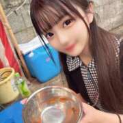 ヒメ日記 2025/07/24 16:26 投稿 みるく The White