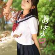 ヒメ日記 2025/07/28 08:39 投稿 みるく The White