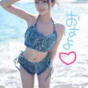 ヒメ日記 2025/08/07 09:17 投稿 みるく The White