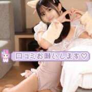 ヒメ日記 2025/08/28 12:01 投稿 みるく The White