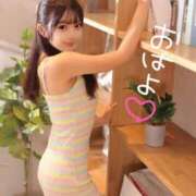 ヒメ日記 2025/09/11 10:29 投稿 みるく The White