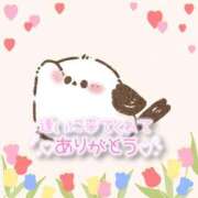 ヒメ日記 2025/09/16 11:45 投稿 みるく The White