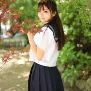 ヒメ日記 2025/09/29 11:01 投稿 みるく The White