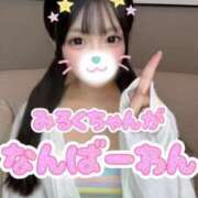 ヒメ日記 2025/10/09 16:16 投稿 みるく The White