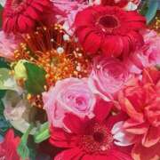 ヒメ日記 2025/10/12 02:26 投稿 みるく The White