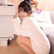 ヒメ日記 2025/10/14 07:30 投稿 みるく The White