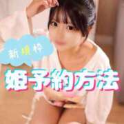 ヒメ日記 2025/10/17 16:01 投稿 みるく The White