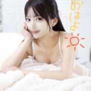 ヒメ日記 2025/10/20 10:37 投稿 みるく The White