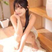 ヒメ日記 2025/10/29 15:01 投稿 みるく The White