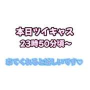 ヒメ日記 2025/11/03 18:36 投稿 みるく The White