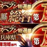 ヒメ日記 2025/11/12 12:56 投稿 みるく The White