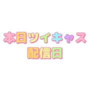 ヒメ日記 2025/11/15 22:00 投稿 みるく The White