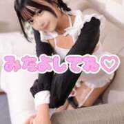 ヒメ日記 2025/11/18 10:06 投稿 みるく The White