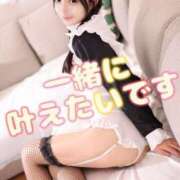 ヒメ日記 2025/11/19 13:45 投稿 みるく The White