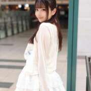 ヒメ日記 2025/11/23 12:31 投稿 みるく The White