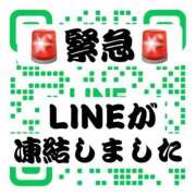 ヒメ日記 2025/11/24 15:02 投稿 みるく The White