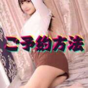 ヒメ日記 2025/11/27 12:34 投稿 みるく The White