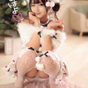 ヒメ日記 2025/12/01 07:01 投稿 みるく The White