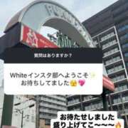 ヒメ日記 2025/12/02 12:23 投稿 みるく The White