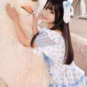 ヒメ日記 2025/12/03 17:19 投稿 みるく The White