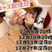 ヒメ日記 2025/12/04 18:23 投稿 みるく The White