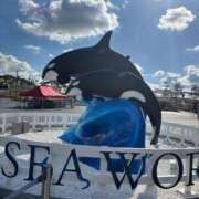 ヒメ日記 2025/12/05 00:21 投稿 みるく The White