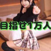 ヒメ日記 2025/12/09 20:53 投稿 みるく The White