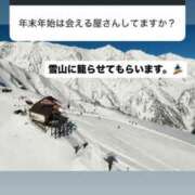 ヒメ日記 2025/12/10 14:15 投稿 みるく The White