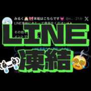 ヒメ日記 2025/12/11 00:34 投稿 みるく The White