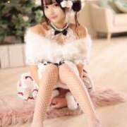 ヒメ日記 2025/12/12 10:32 投稿 みるく The White