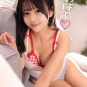 ヒメ日記 2025/12/13 09:13 投稿 みるく The White