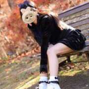 ヒメ日記 2025/12/13 15:02 投稿 みるく The White