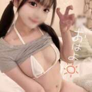 ヒメ日記 2025/12/16 08:50 投稿 みるく The White