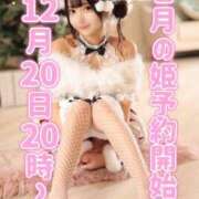 ヒメ日記 2025/12/16 20:01 投稿 みるく The White