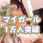 ヒメ日記 2025/12/19 20:30 投稿 みるく The White