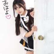 ヒメ日記 2026/01/30 10:40 投稿 みるく The White