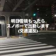 ヒメ日記 2026/02/08 01:29 投稿 みるく The White