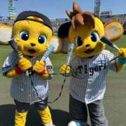 ヒメ日記 2026/02/11 07:01 投稿 みるく The White