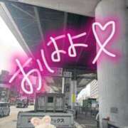 ヒメ日記 2026/02/16 11:40 投稿 みるく The White