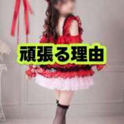 ヒメ日記 2026/09/11 13:44 投稿 みるく The White（ザ ホワイト）