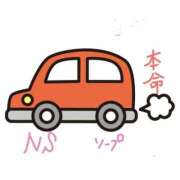 ヒメ日記 2025/03/21 00:19 投稿 仲間 翼 AZITO V.I.P