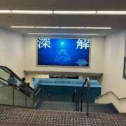 ヒメ日記 2025/11/14 11:39 投稿 仲間 翼 AZITO V.I.P