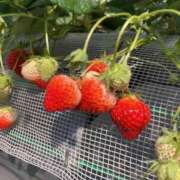 ヒメ日記 2025/02/22 12:34 投稿 真宮(まみや) 人妻城 横浜本店