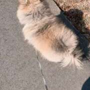 ヒメ日記 2025/03/07 09:49 投稿 真宮(まみや) 人妻城 横浜本店