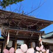 ヒメ日記 2025/03/20 12:31 投稿 真宮(まみや) 人妻城 横浜本店