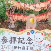 ヒメ日記 2025/04/01 09:01 投稿 真宮(まみや) 人妻城 横浜本店