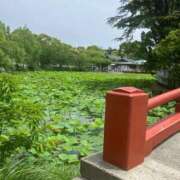 ヒメ日記 2025/06/03 10:37 投稿 真宮(まみや) 人妻城 横浜本店